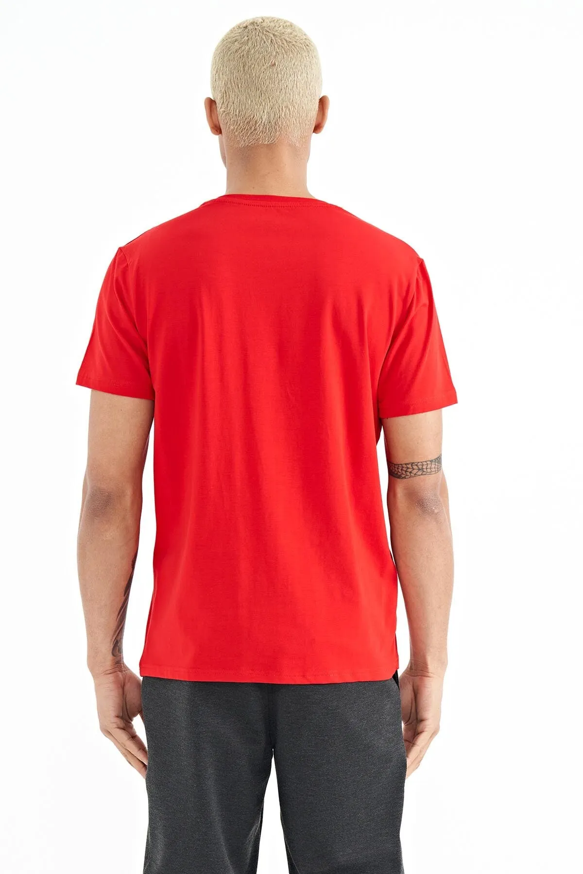 bertstandart kalip erkek t-shirt - 88210