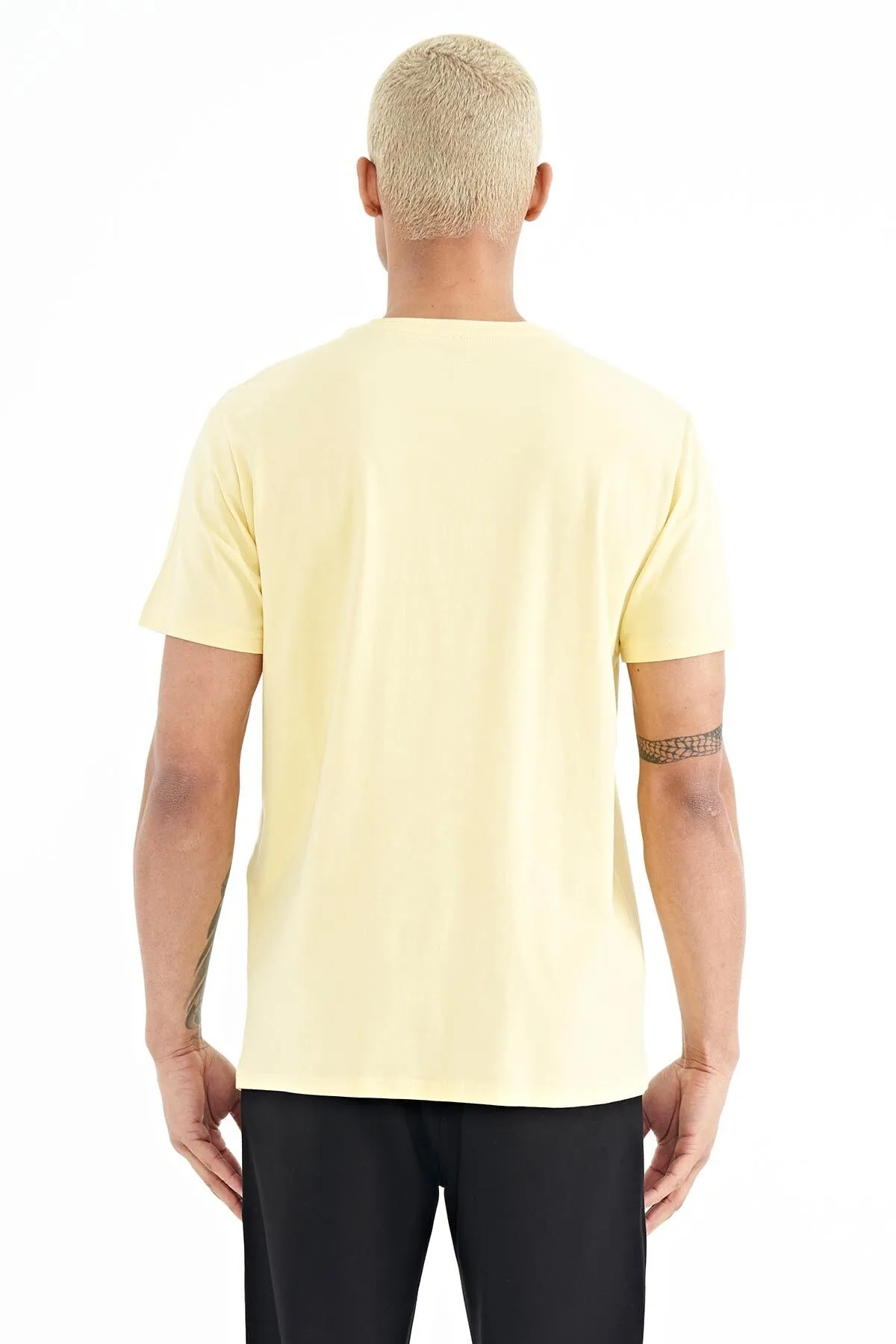 bertstandart kalip erkek t-shirt - 88210