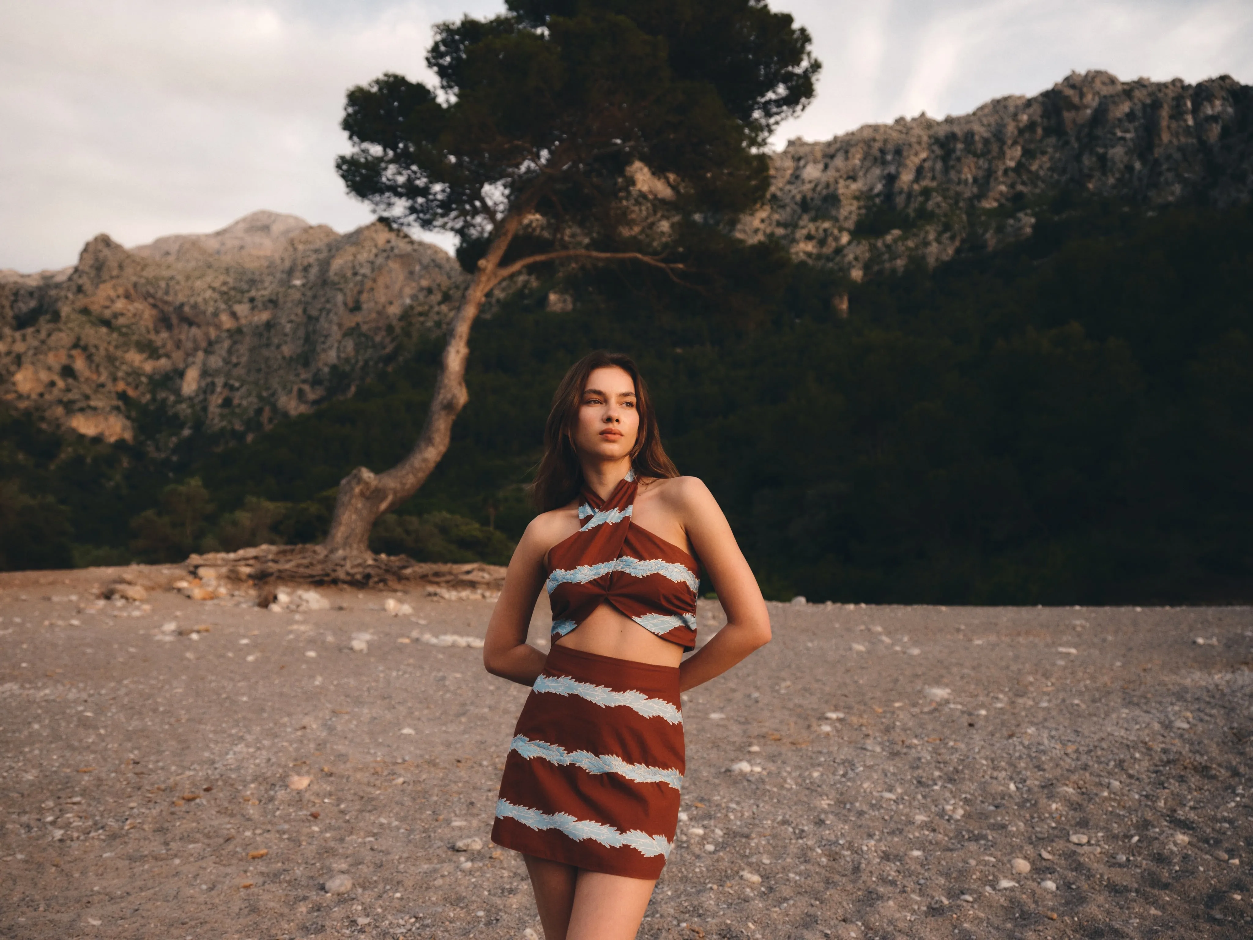 Emilia Hand Embroidered Cotton Top / Chocolate Striped Helechos