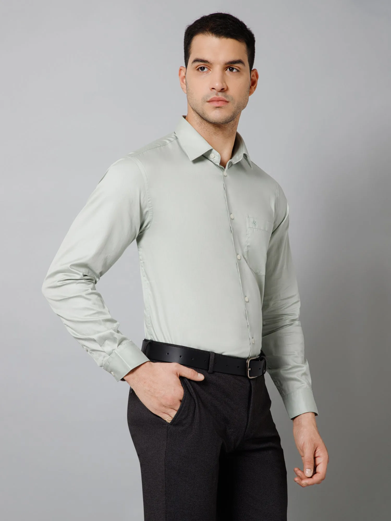 Men's Sage Green Party Plain Full Sleeve Shirt