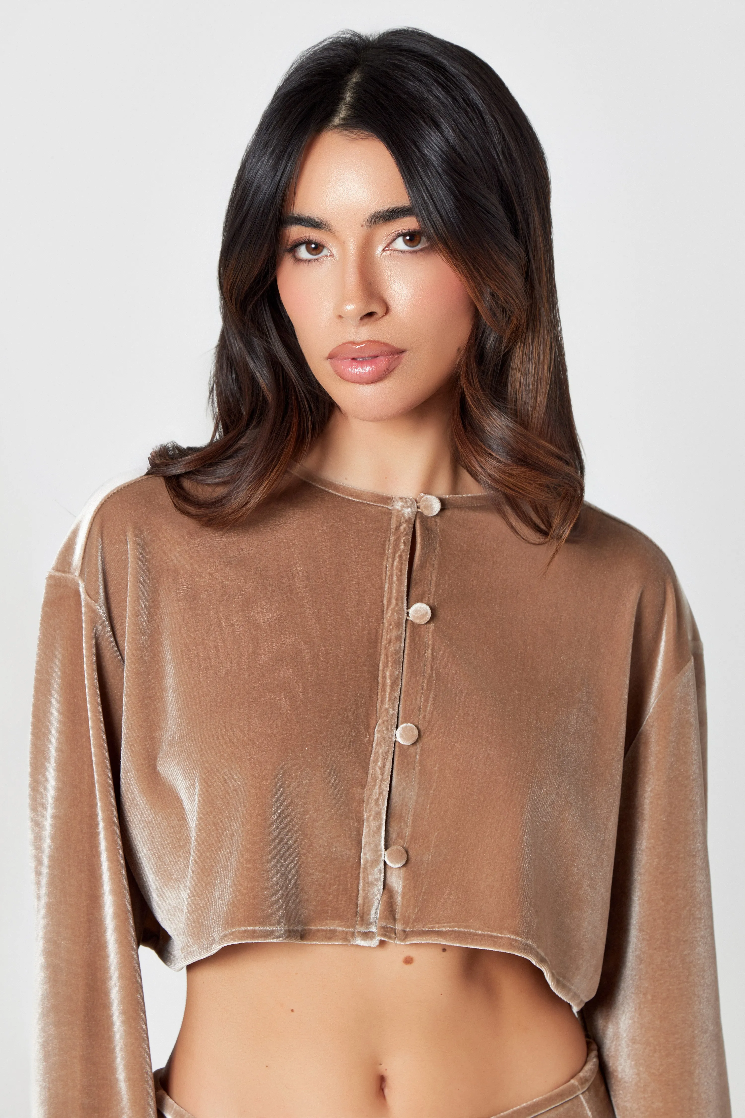 Mink Velvet Blouse