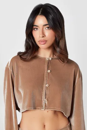 Mink Velvet Blouse